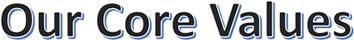 our core values 354x40